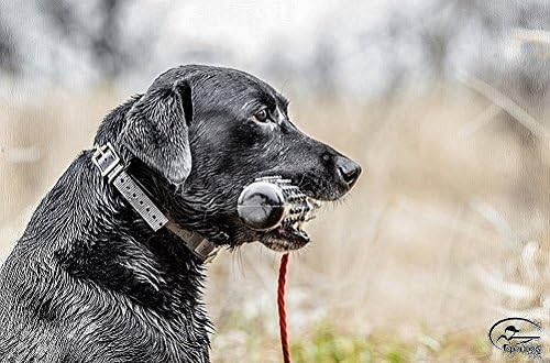 Regular Plastic/Knobby Dummy