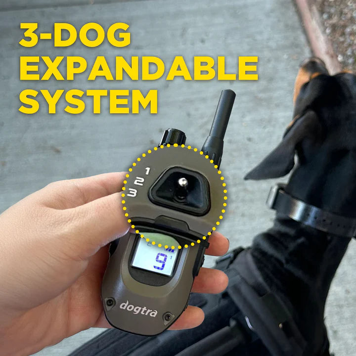 1900X Remote Dog Trainer 2-Dog Unit