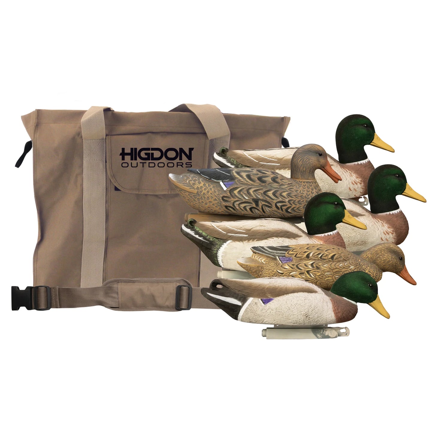 Magnum Mallard – 6 Pack