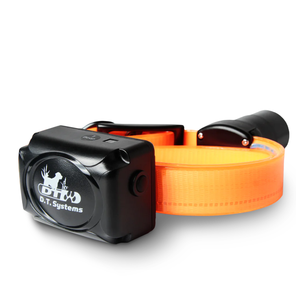 BTB800 Baritone Beeper Collar