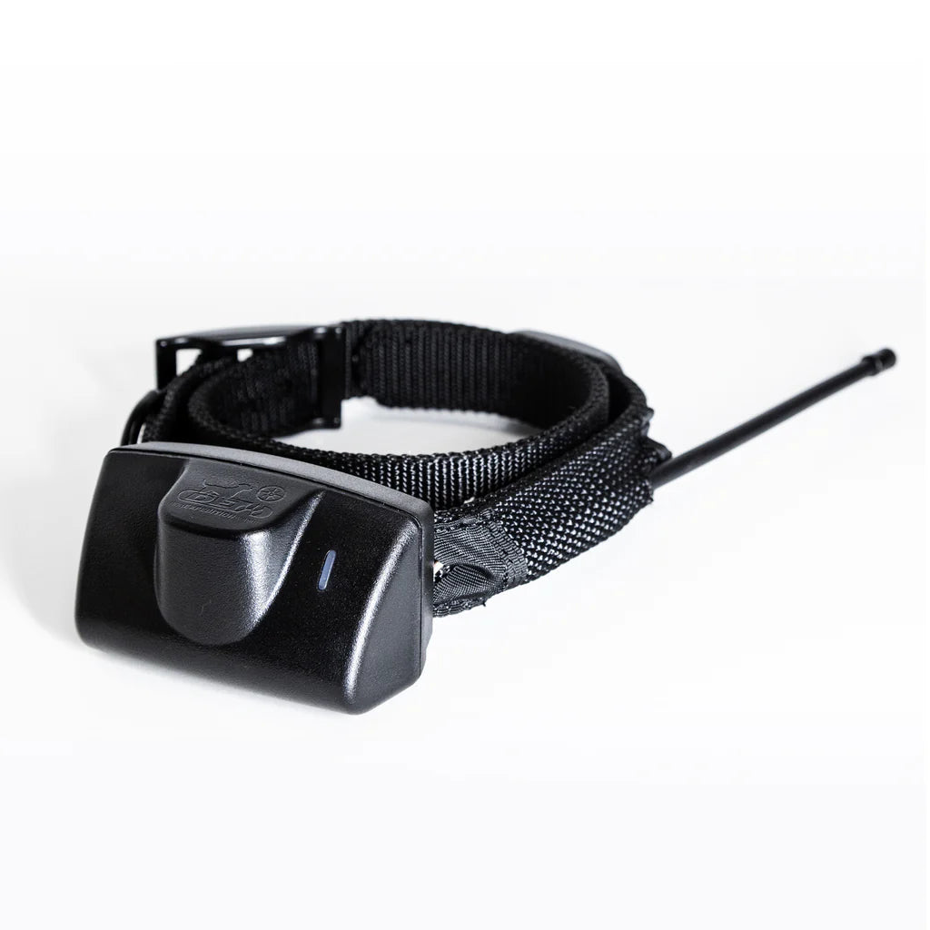 Extra Collar for Border Patrol TC1