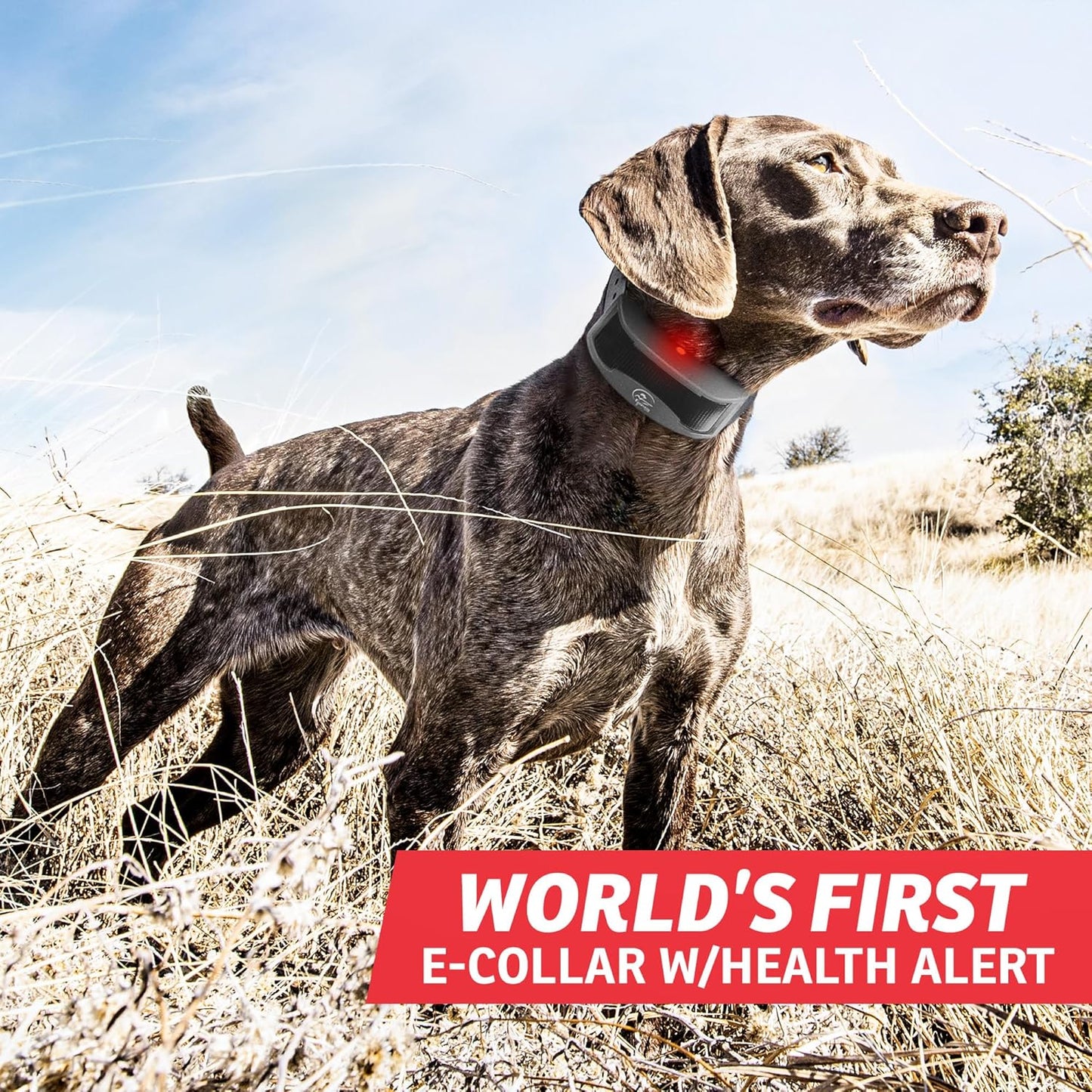 FieldSentinel™ FS-825 with BodyGuard Technology