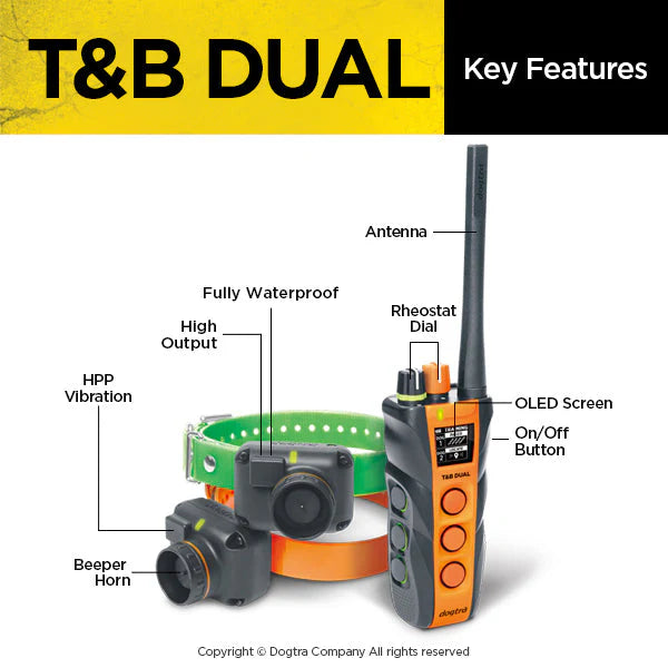 Dual 2 Train & Beep 2-Dog System