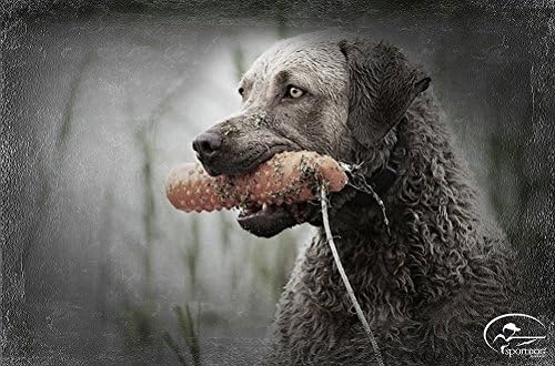 Jumbo Plastic/Knobby Dummy