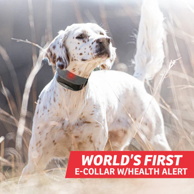 FieldSentinel™ FS-1825 with BodyGuard Technology