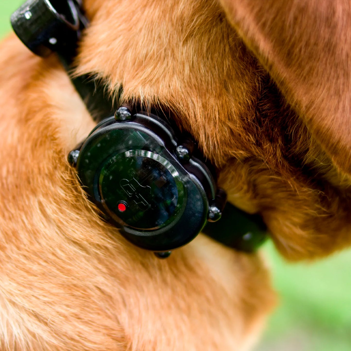 Micro-iDT PLUS Remote Trainer