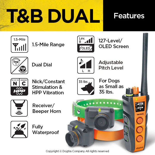 Dual 2 Train & Beep 2-Dog System