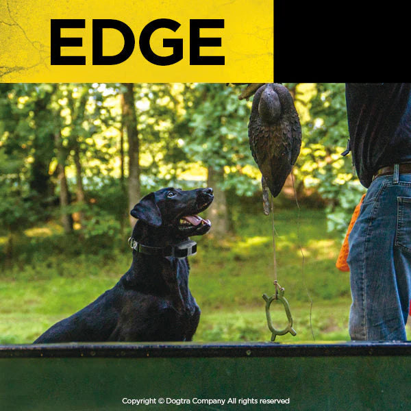 EDGE Dog Remote Trainer Expandable