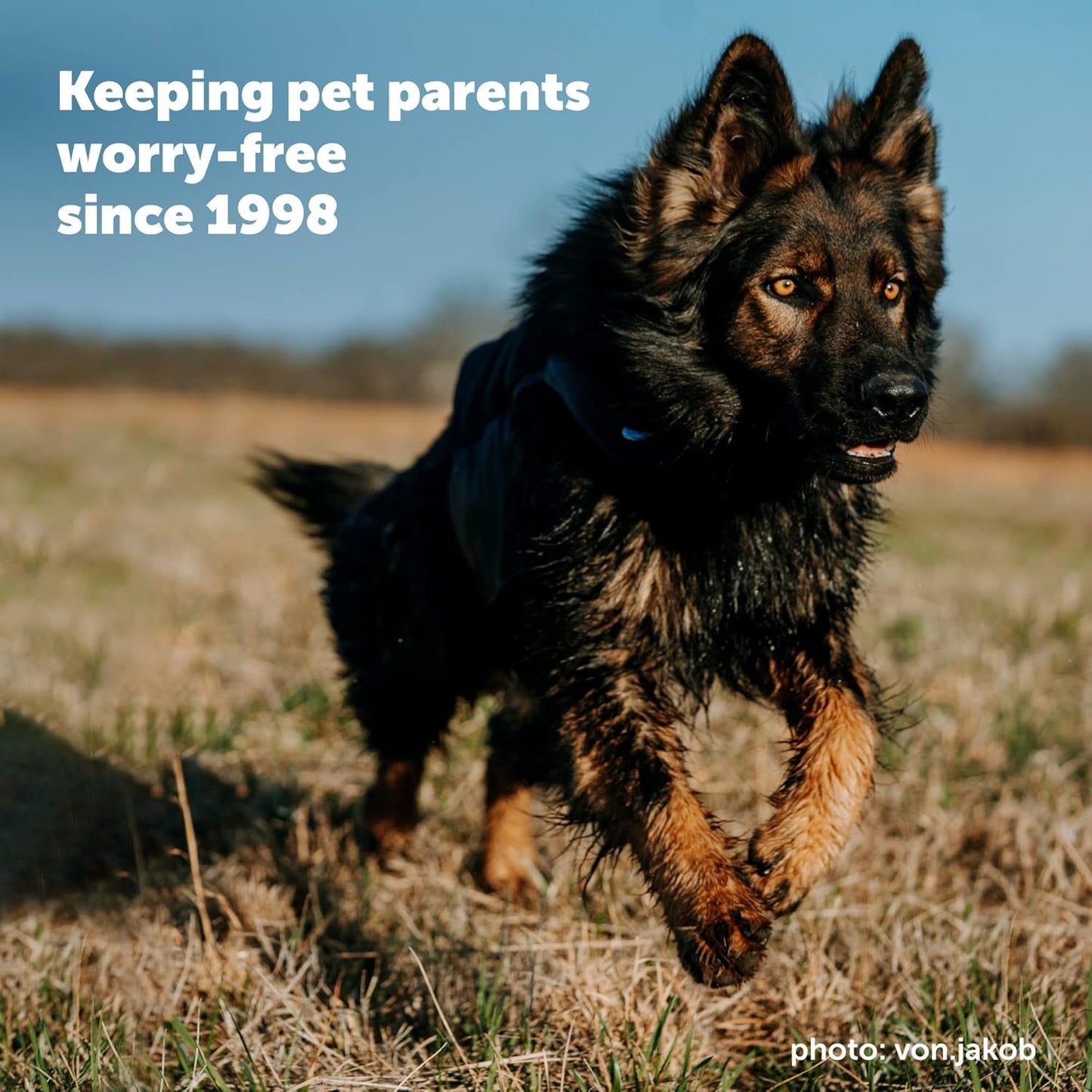 YardMax™ Rechargeable In-Ground Fence™