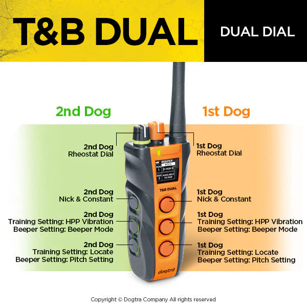 Dual 2 Train & Beep 2-Dog System