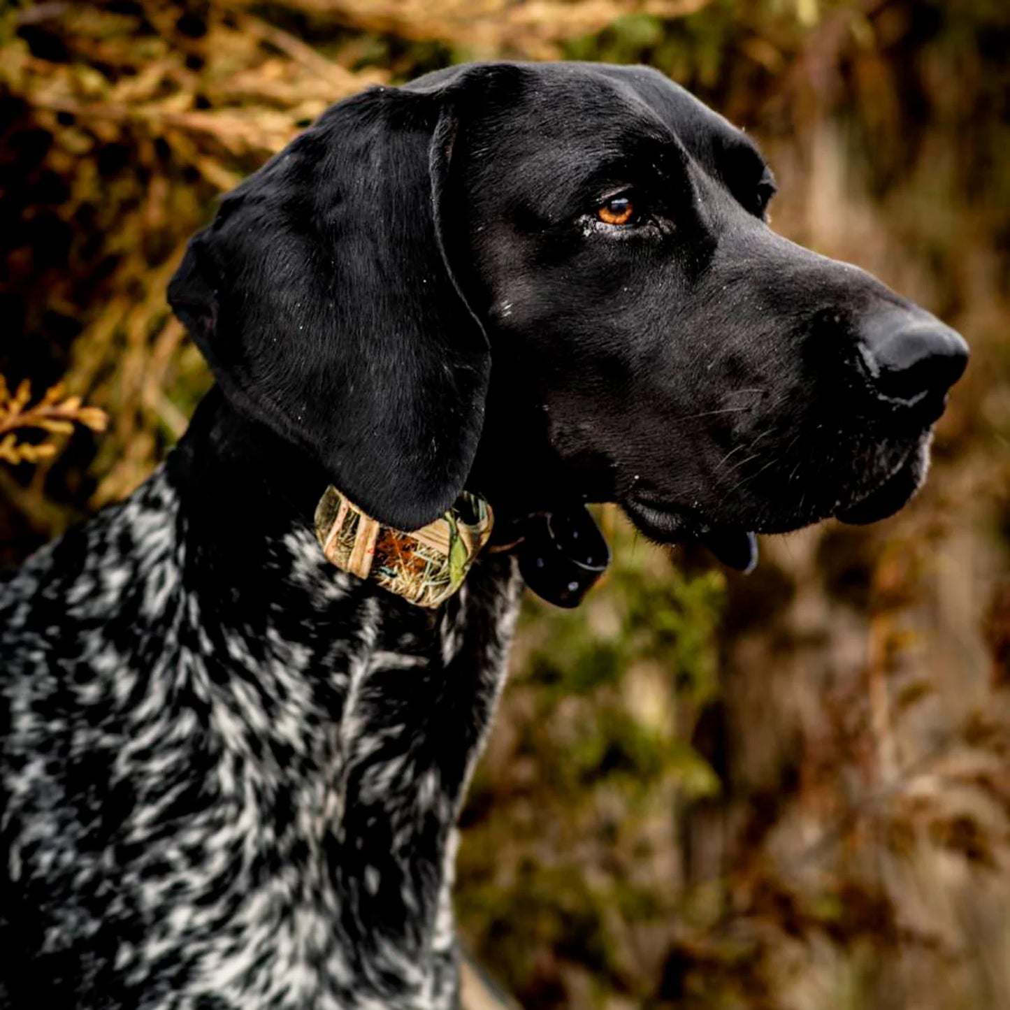 Extra Collar for MR1100 - Camo