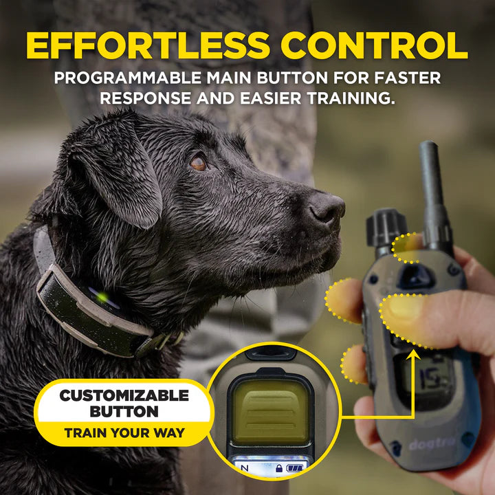 1900X Remote Dog Trainer 2-Dog Unit
