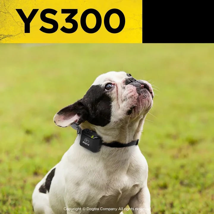 YS300 No Bark Collar