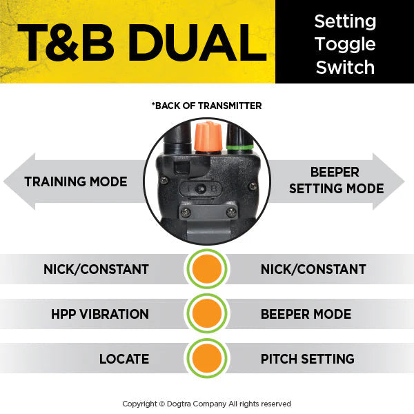 Dual 2 Train & Beep 2-Dog System