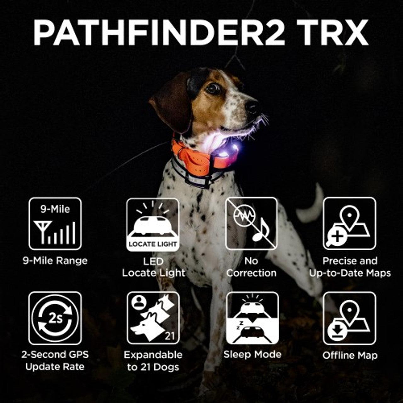 Pathfinder 2 Tracking Only Collar