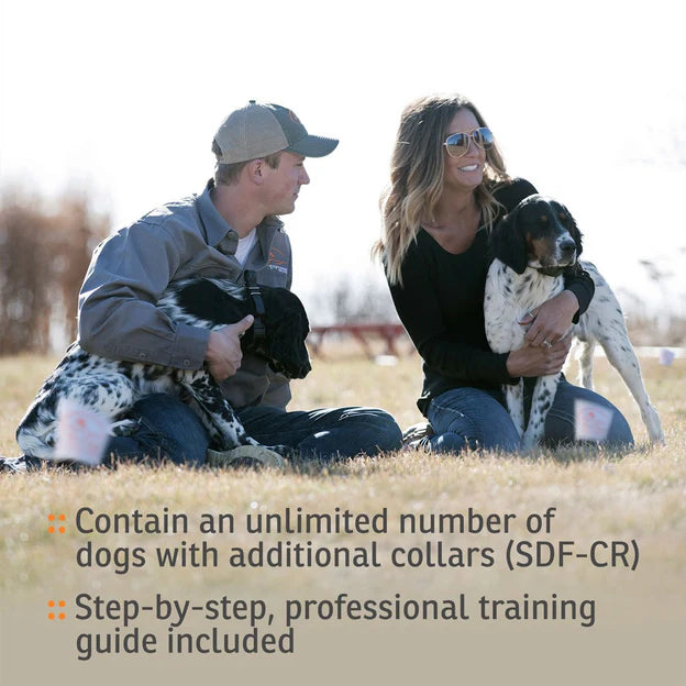 SDF-100C In-Ground Fence System