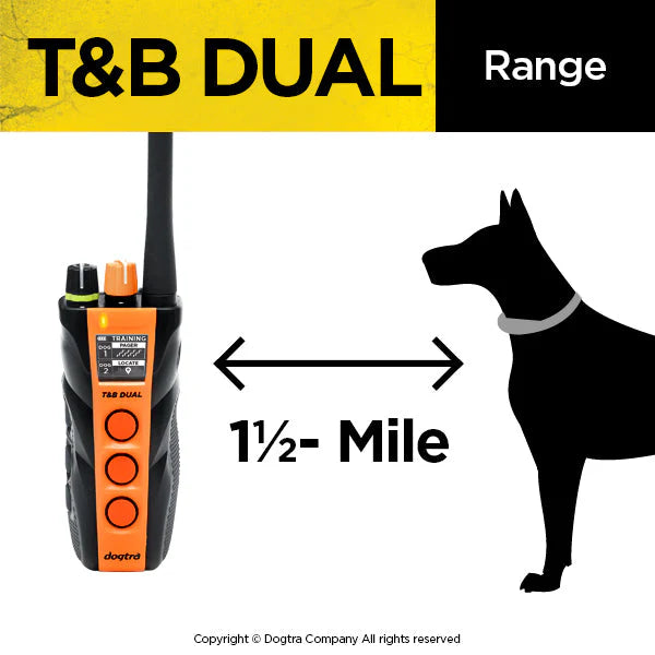 Dual 2 Train & Beep 2-Dog System