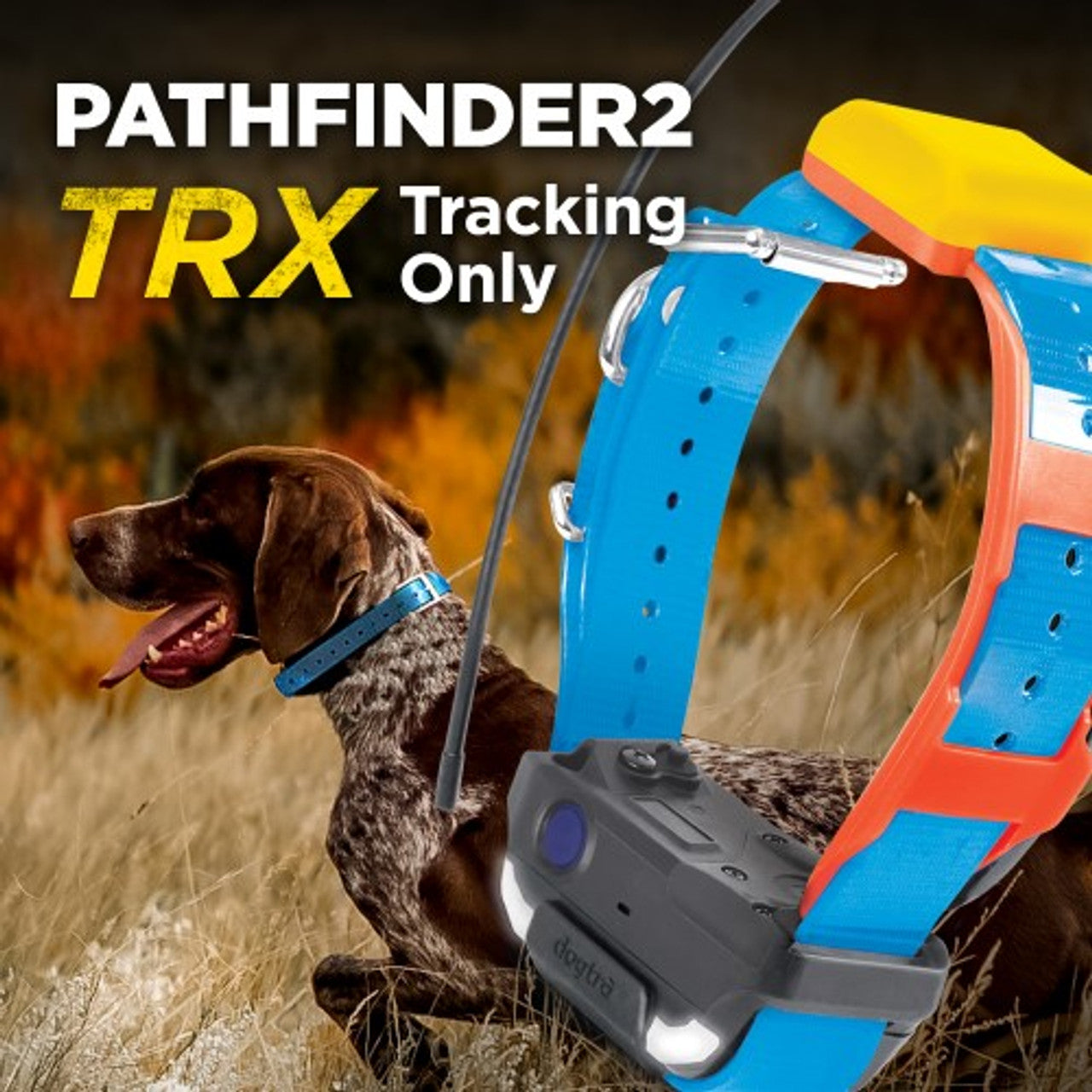 Pathfinder 2 Tracking Only Collar
