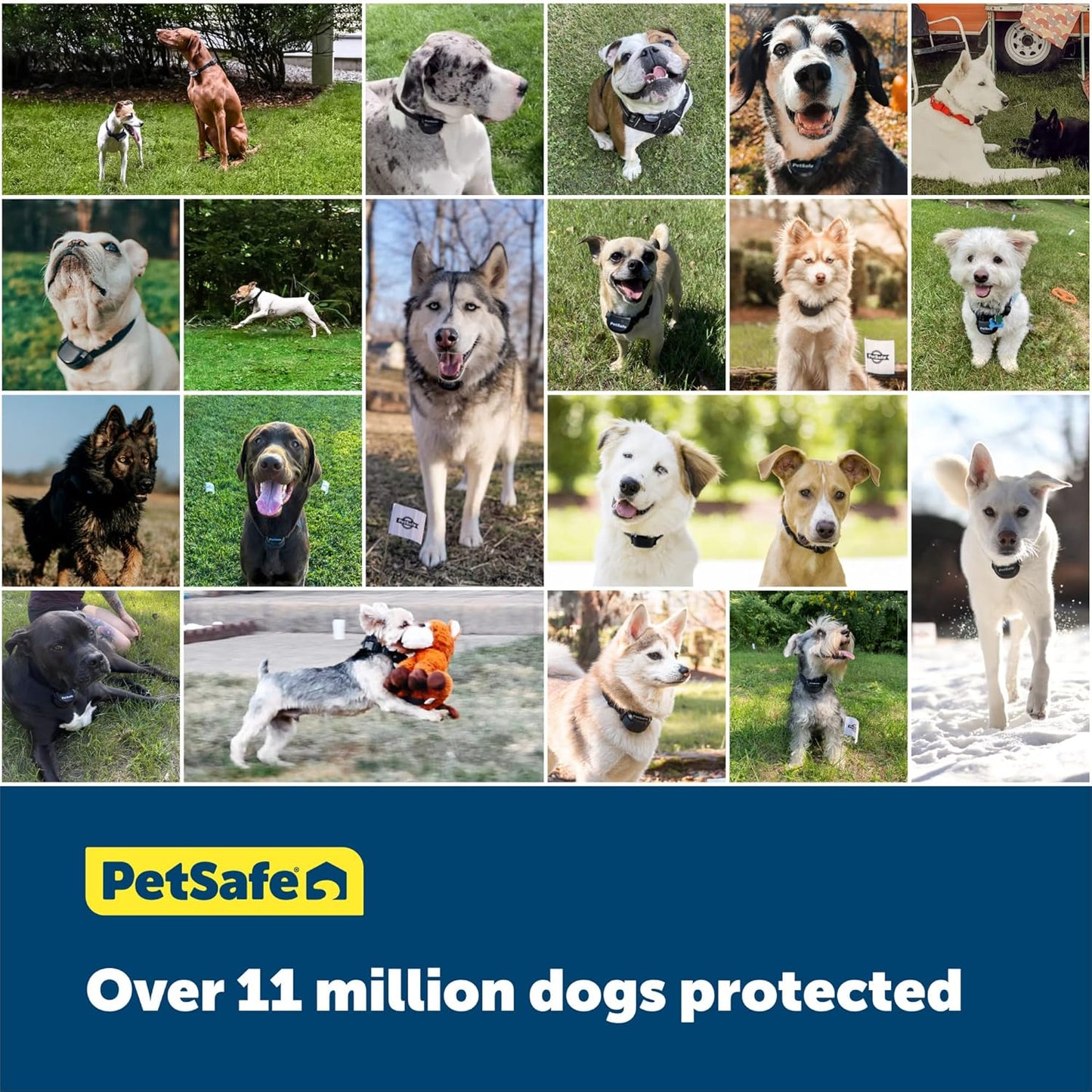 150' Spool Blue Boundary Wire