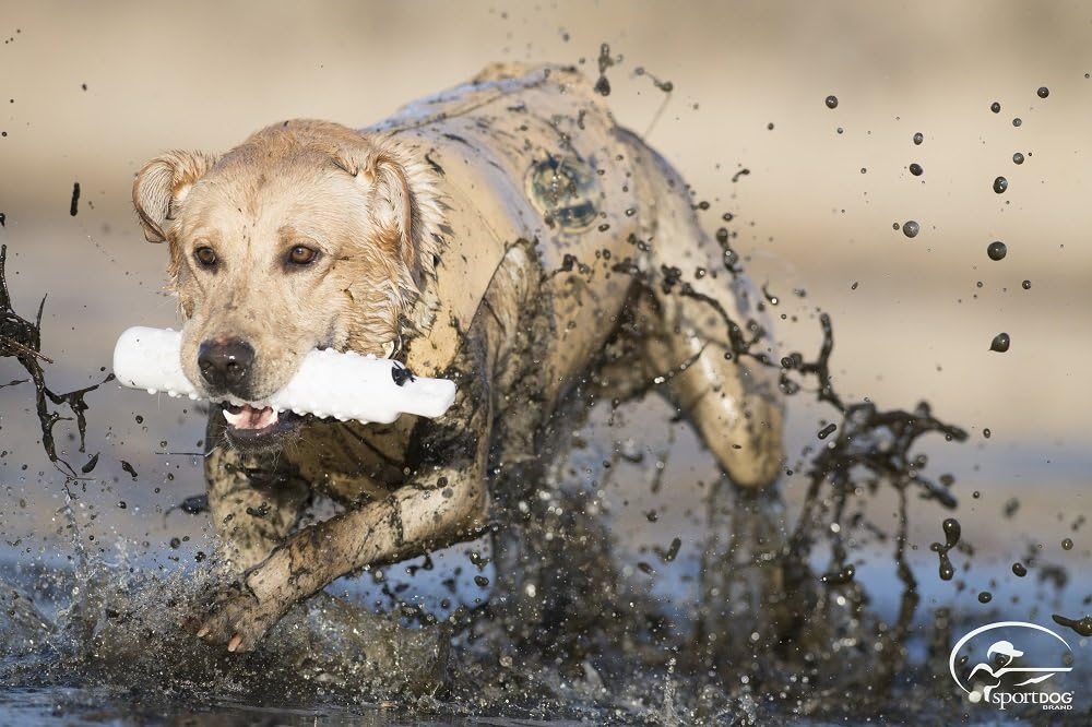 Jumbo Plastic/Knobby Dummy