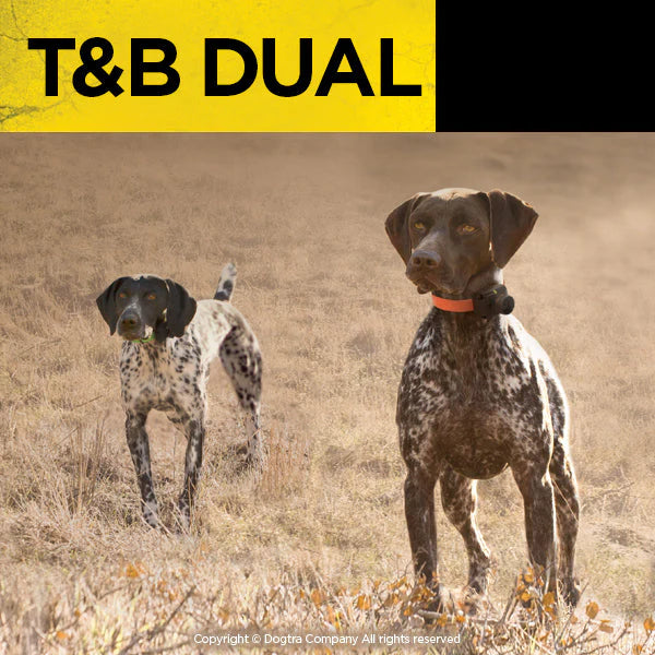 Dual 2 Train & Beep 2-Dog System