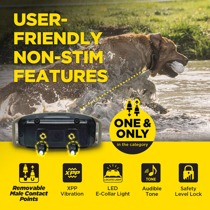 1900X Remote Dog Trainer 2-Dog Unit