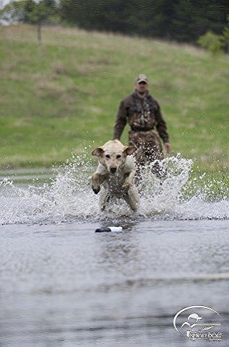 Regular Plastic/Knobby Dummy