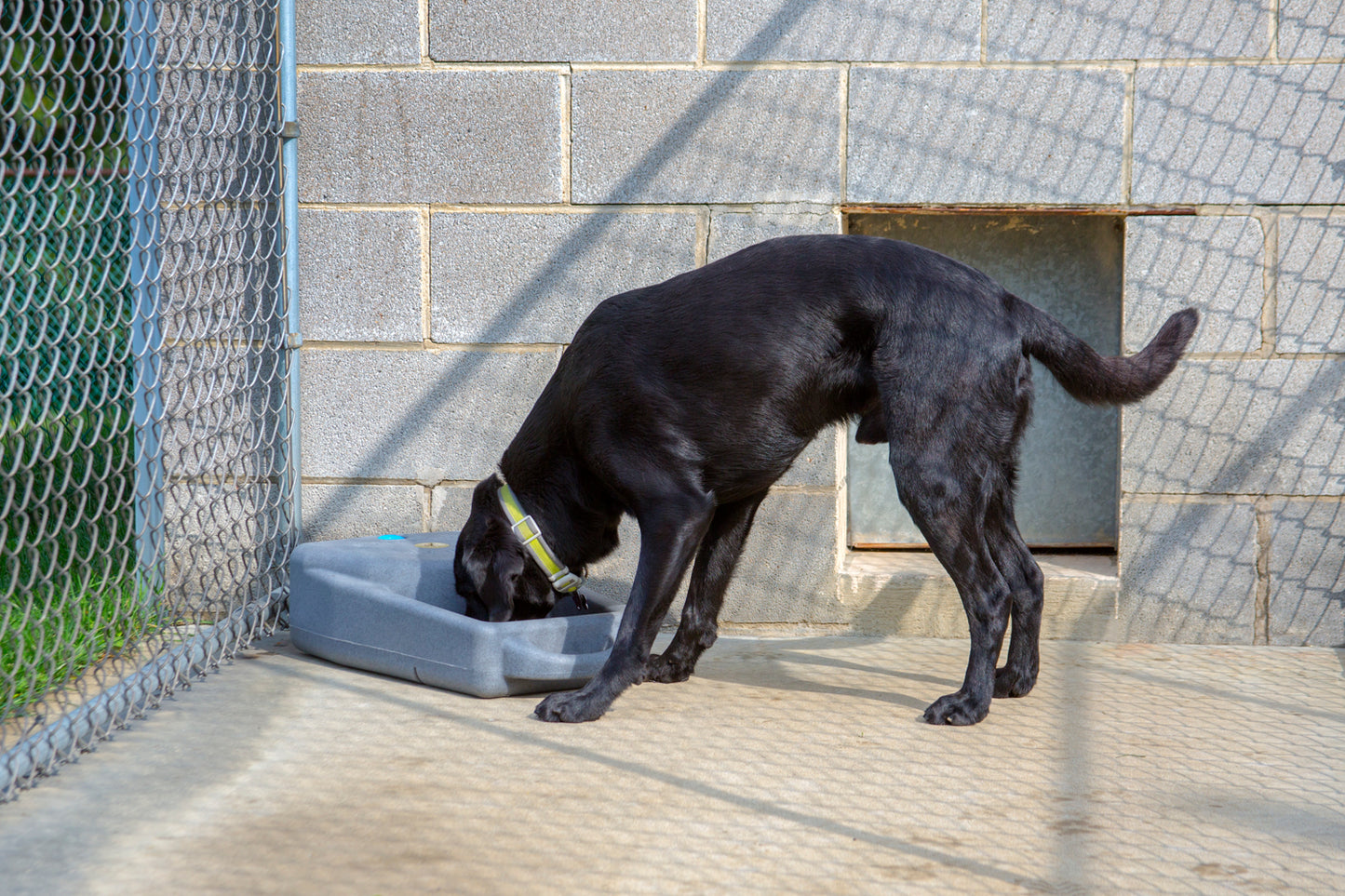 Dakota 283 Dash 3.5 Watering System With Dakota Guard Antimicrobial