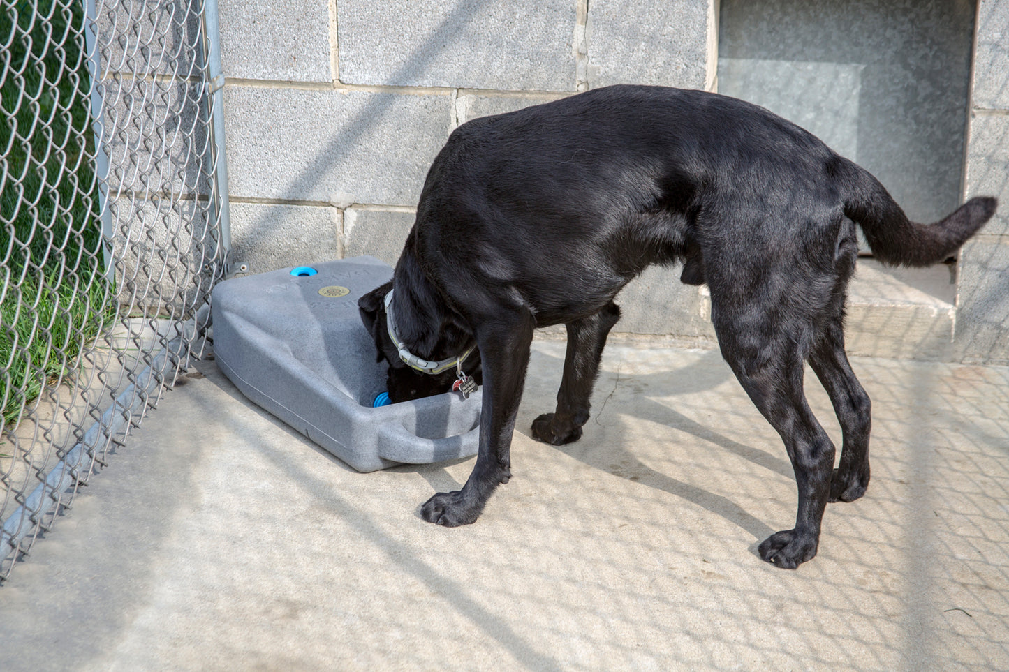 Dakota 283 Dash 3.5 Watering System With Dakota Guard Antimicrobial