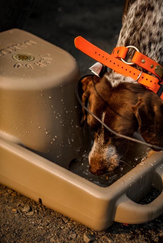 Dakota 283 Dash 5.0 Watering System With Dakota Guard Antimicrobial