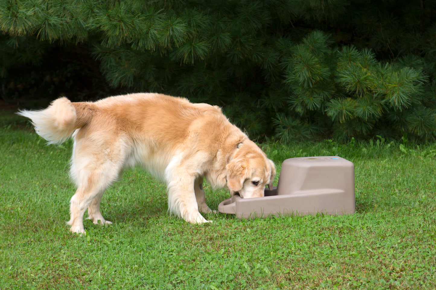 Dakota 283 Dash 5.0 Watering System With Dakota Guard Antimicrobial