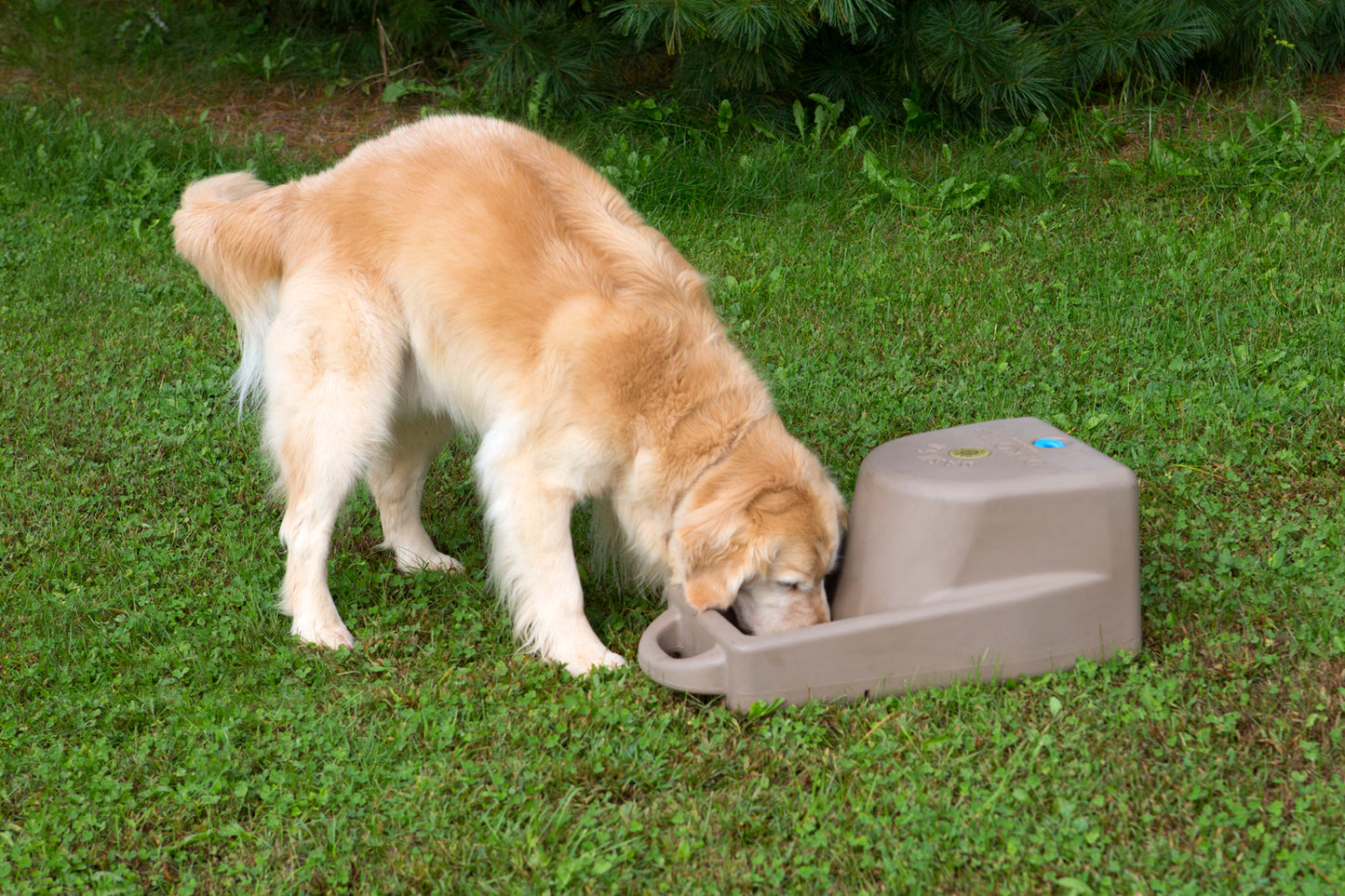 Dakota 283 Dash 5.0 Watering System With Dakota Guard Antimicrobial