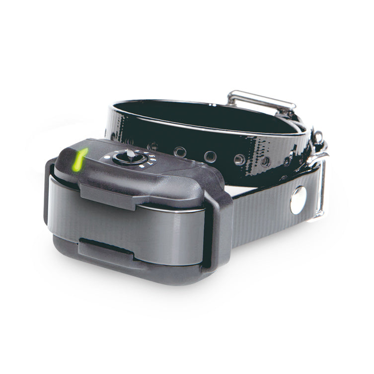 Extra_Collar_for_E-Fence_3500