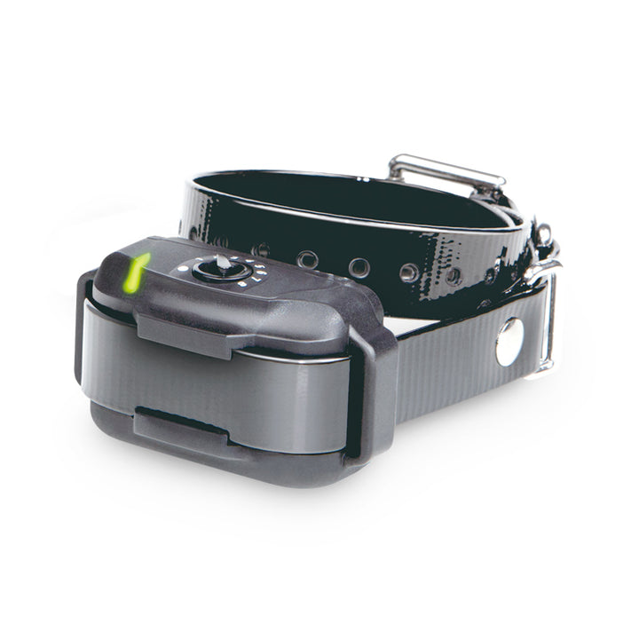 Extra_Collar_for_E-Fence_3500