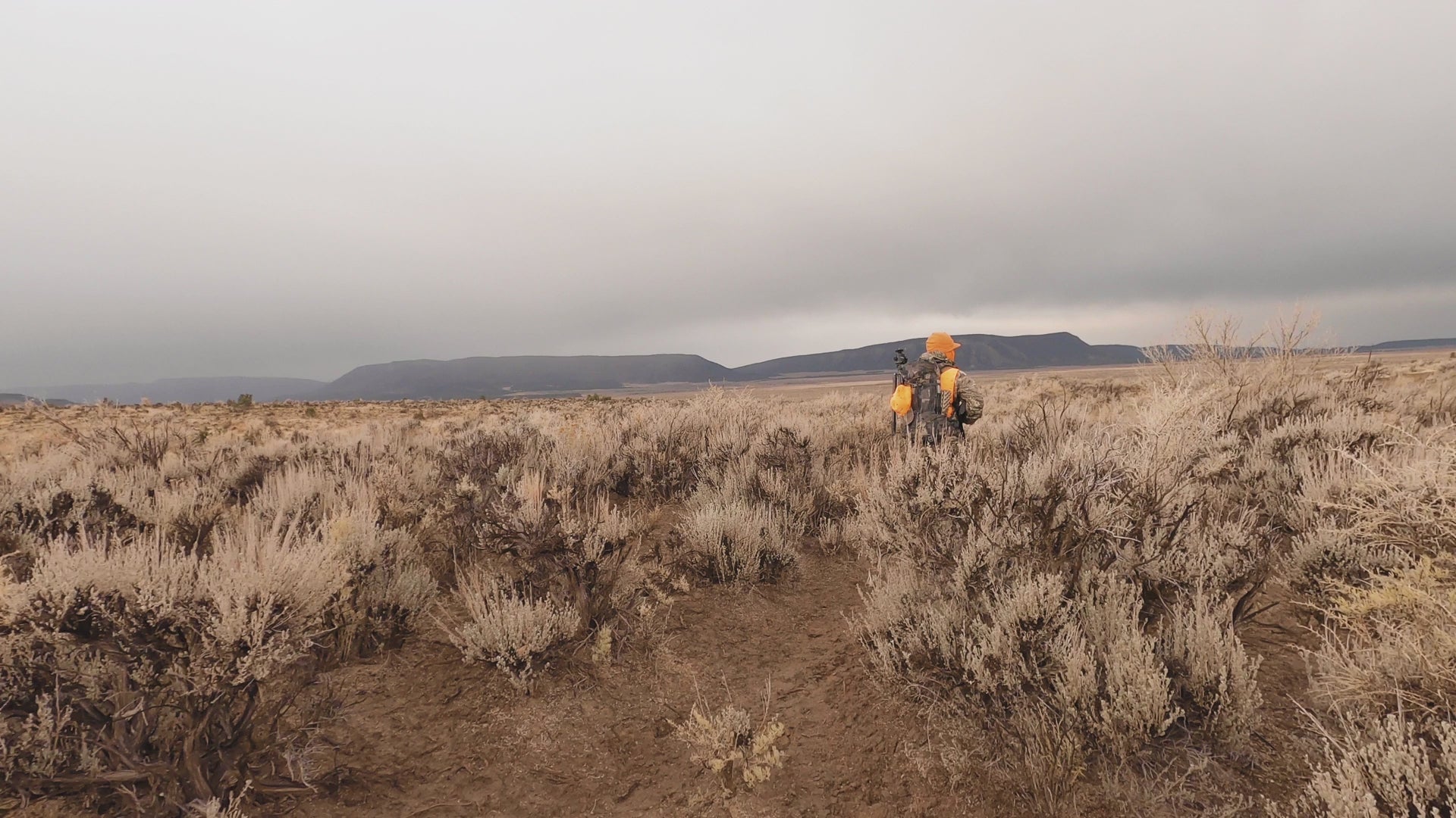 Load video: Ignite theme