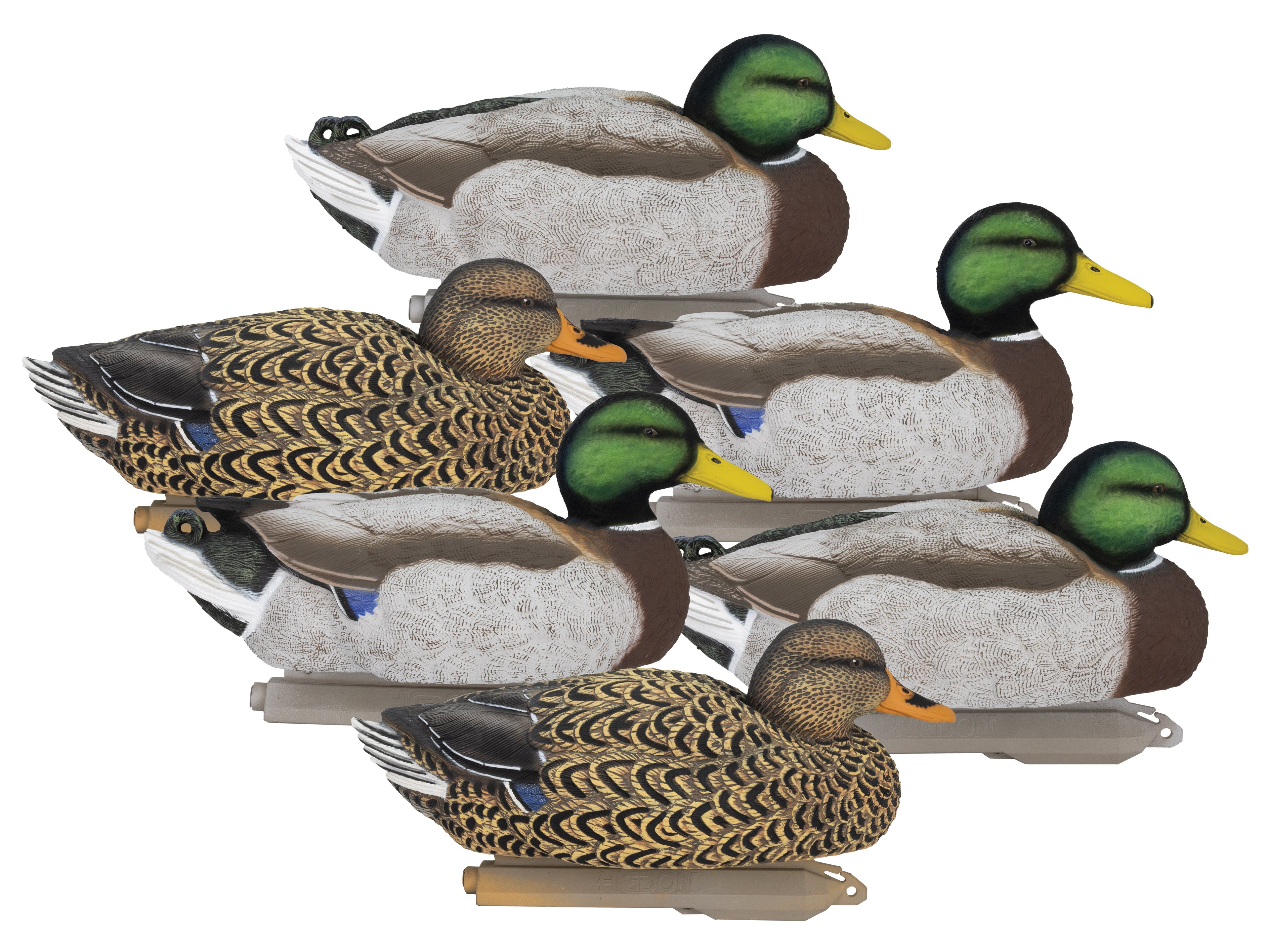 Duck Decoys