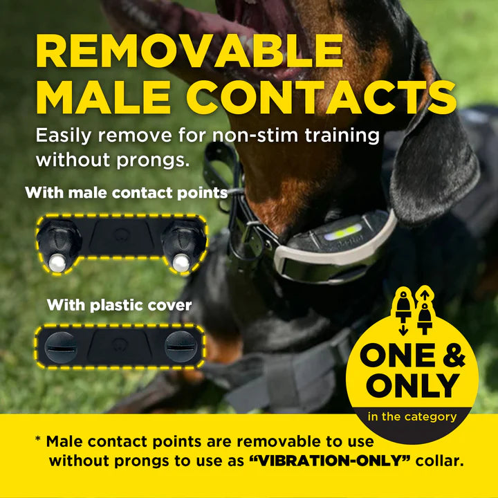 1900X Remote Dog Trainer 1-Dog Unit