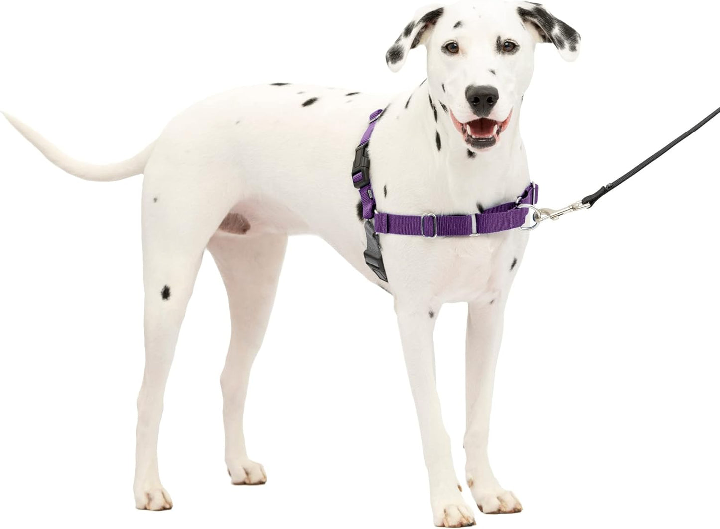 Easy Walk Harness