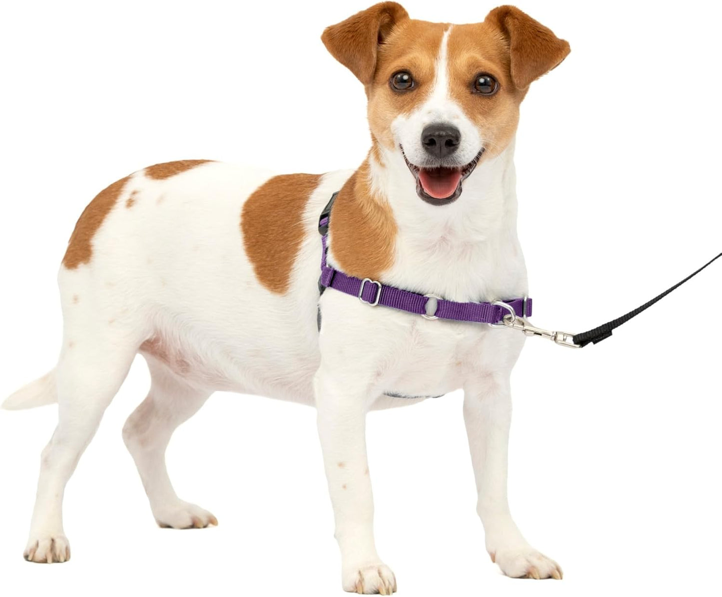 Easy Walk Harness