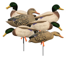 Magnum Full-Body Mallard Variety Pk, Flocked Heads (6pk)