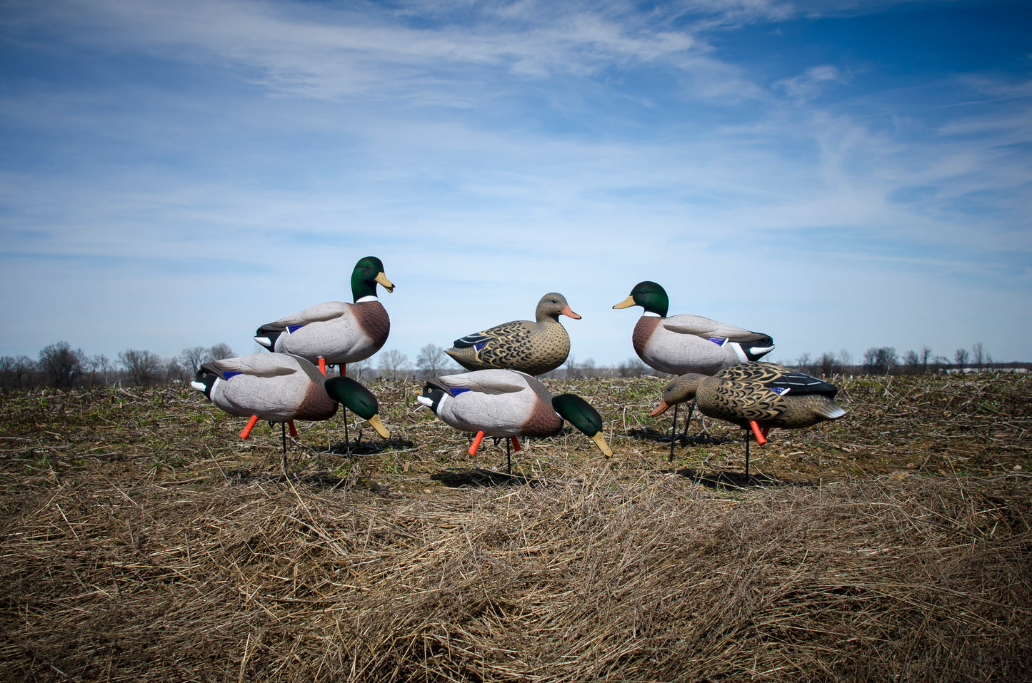 Magnum Full-Body Mallard Variety Pk, Flocked Heads (6pk)