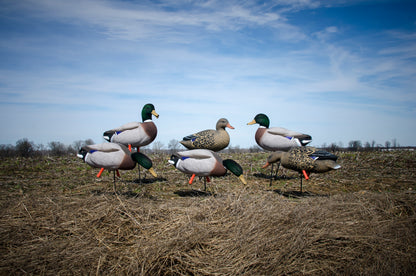 Magnum Full-Body Mallard Variety Pk, Flocked Heads (6pk)