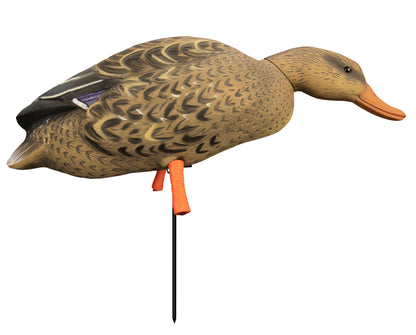 Magnum Full-Body Mallard Variety Pk, Flocked Heads (6pk)
