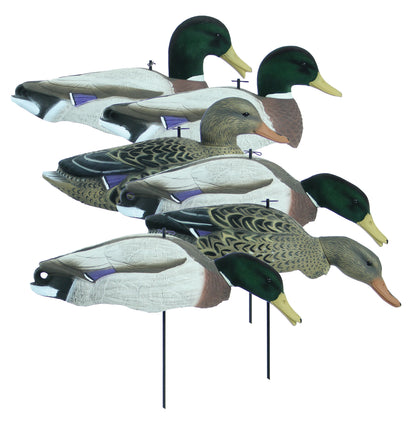 Magnum Full Form Shell Mallard Variety Pk, Flocked Heads (6pk)