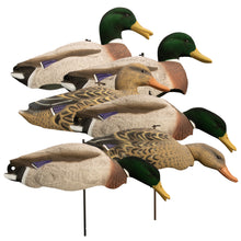 Magnum Full Form Shell Mallard Variety Pk, Flocked Heads (6pk)