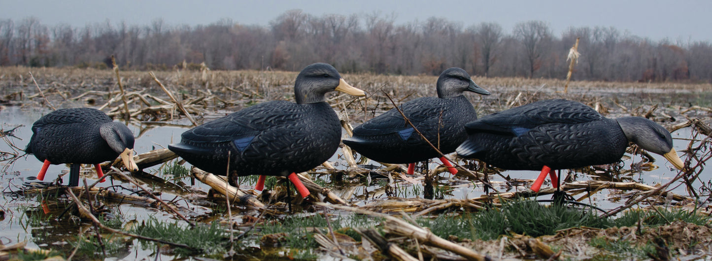 Magnum Full-Body Black Duck Variety Pk (6pk)