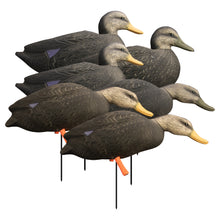 Magnum Full-Body Black Duck Variety Pk (6pk)