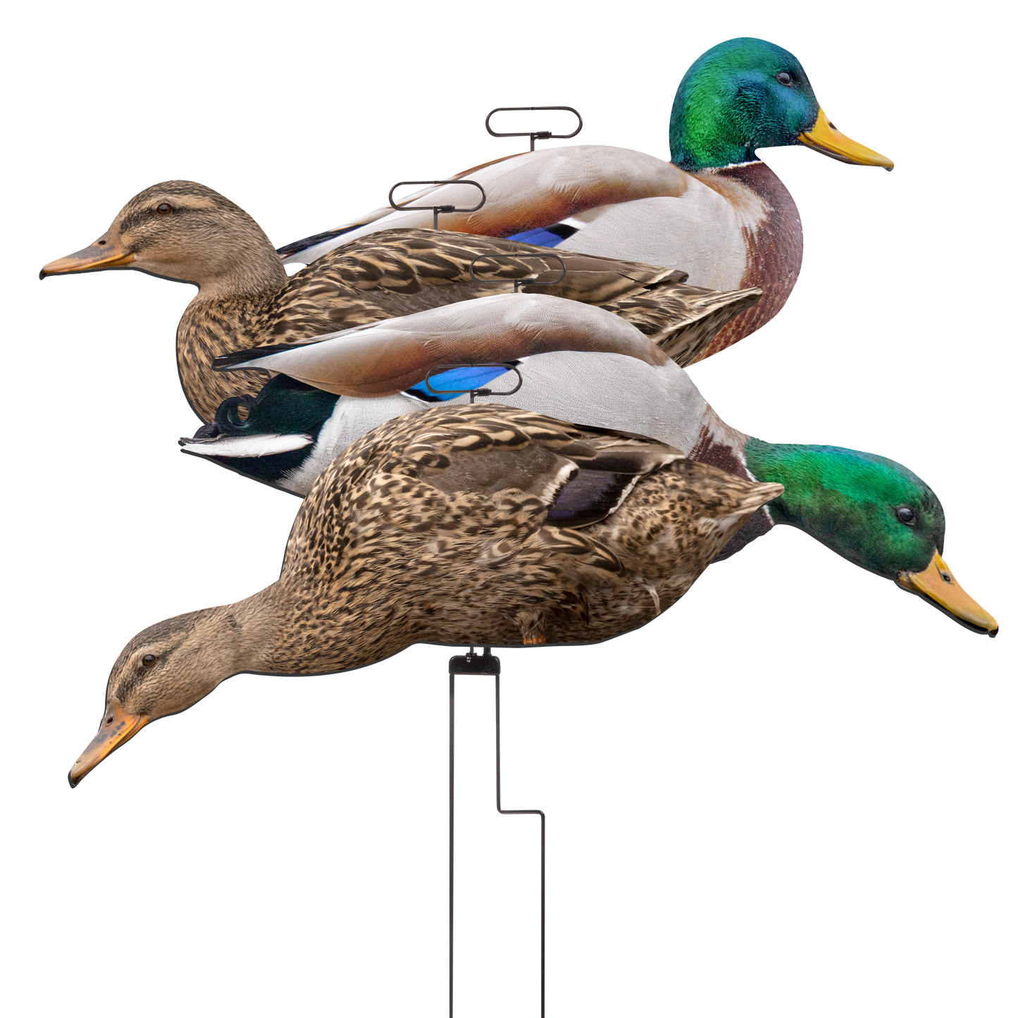 FLATS Mallard Motion Silhouettes (12pk)