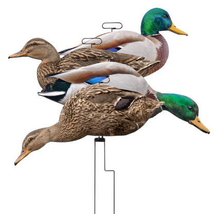 FLATS Mallard Motion Silhouettes (12pk)