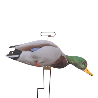 FLATS Mallard Motion Silhouettes (12pk)